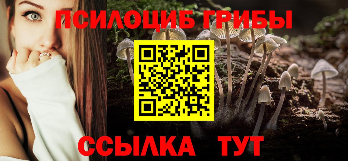 Галлюциногенные грибы Psilocybine cubensis  цена наркотик  Каспийск  Вход с VPN  Галлюциногенные грибы прущие грибы 