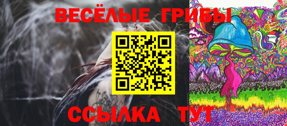 Псилоцибиновые грибы Cubensis Каспийск